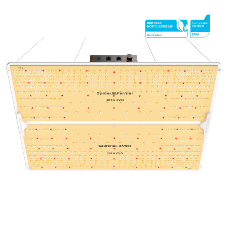 LED auginimo šviestuvas Spider Farmer SF4000