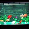 33 LED vandeniui atsparus apšvietimas akvariumams 59 cm