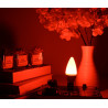 3W LED lemputė be mėlynosios spektro dalies LuDream - Red (E14)
