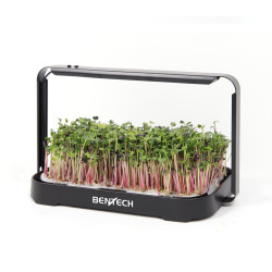 Rinkinys mikrožalumynų auginimui Bentech GreenBoost