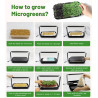 Rinkinys mikrožalumynų auginimui Bentech GreenBoost