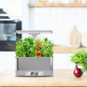 Hidroponinis vazonas Bentech Smart Garden CM67 WiFi