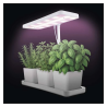 EMOS LED GROW auginimo lempa žolelėms 7 W, laikmatis, pritemdoma, balta