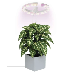 EMOS LED GROW lempa augalų auginimui 8 W, laikmatis, pritemdoma, balta