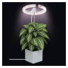 EMOS LED GROW lempa augalų auginimui 8 W, laikmatis, pritemdoma, balta