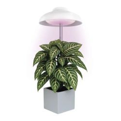 EMOS LED GROW lempa augalų auginimui 5 W, laikmatis, balta
