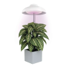 EMOS LED GROW lempa augalų auginimui 5 W, laikmatis, balta