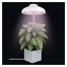 EMOS LED GROW lempa augalų auginimui 5 W, laikmatis, balta
