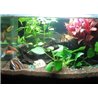 27 LED vandeniui atsparus apšvietimas akvariumams 49 cm