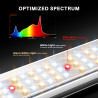LED šviesa augalams auginti Spider Farmer SE3000