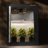 LED šviestuvas augalų auginimui Spider Farmer G4500